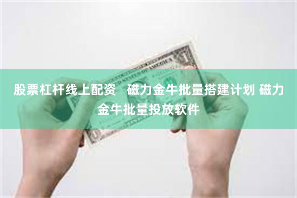 股票杠杆线上配资   磁力金牛批量搭建计划 磁力金牛批量投放软件