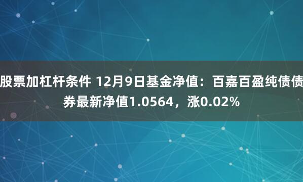 股票加杠杆条件 12月9日基金净值：百嘉百盈纯债债券最新净值1.0564，涨0.02%