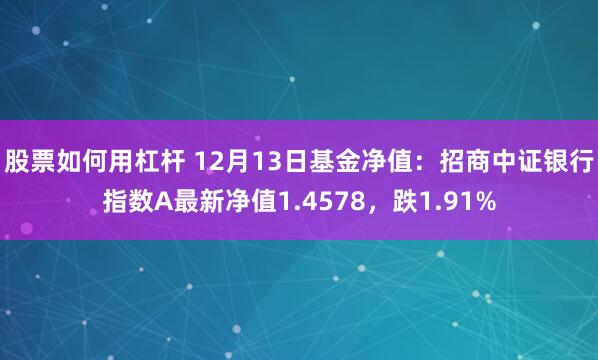 股票如何用杠杆 12月13日基金净值：招商中证银行指数A最新净值1.4578，跌1.91%