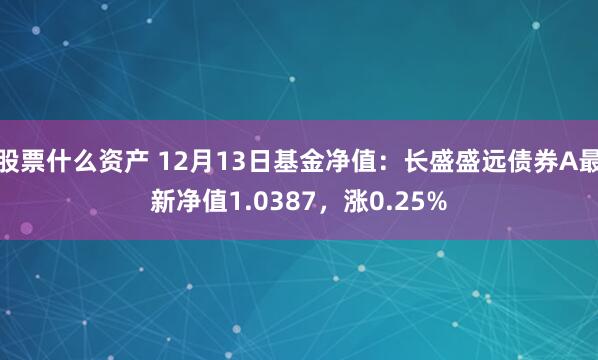 股票什么资产 12月13日基金净值：长盛盛远债券A最新净值1.0387，涨0.25%