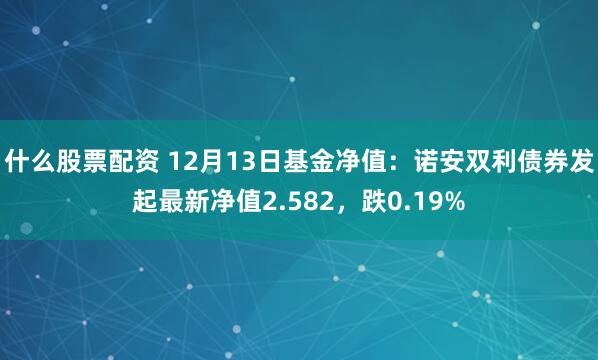 什么股票配资 12月13日基金净值：诺安双利债券发起最新净值2.582，跌0.19%