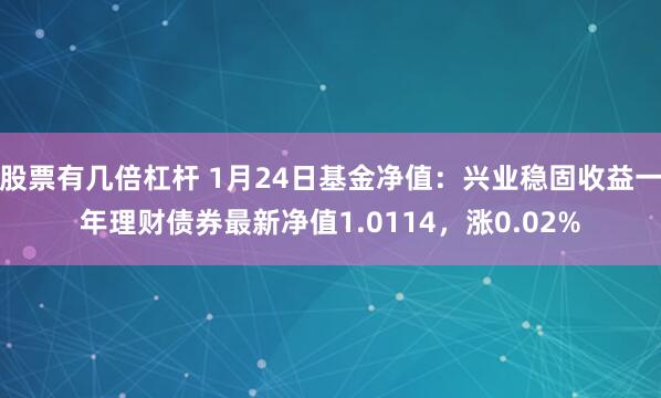 股票有几倍杠杆 1月24日基金净值：兴业稳固收益一年理财债券最新净值1.0114，涨0.02%