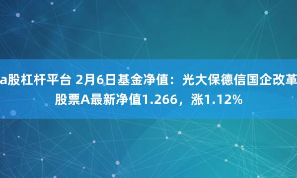 a股杠杆平台 2月6日基金净值：光大保德信国企改革股票A最新净值1.266，涨1.12%