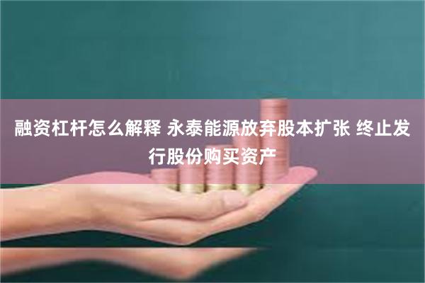 融资杠杆怎么解释 永泰能源放弃股本扩张 终止发行股份购买资产